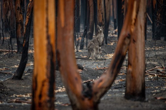 protect Australia from Disaster